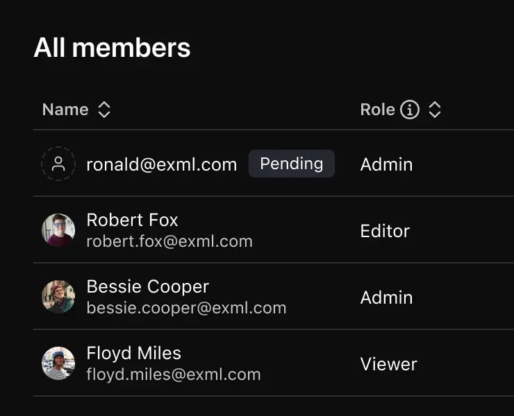 All members - manage team members with different roles like Admin, Editor, and Viewer