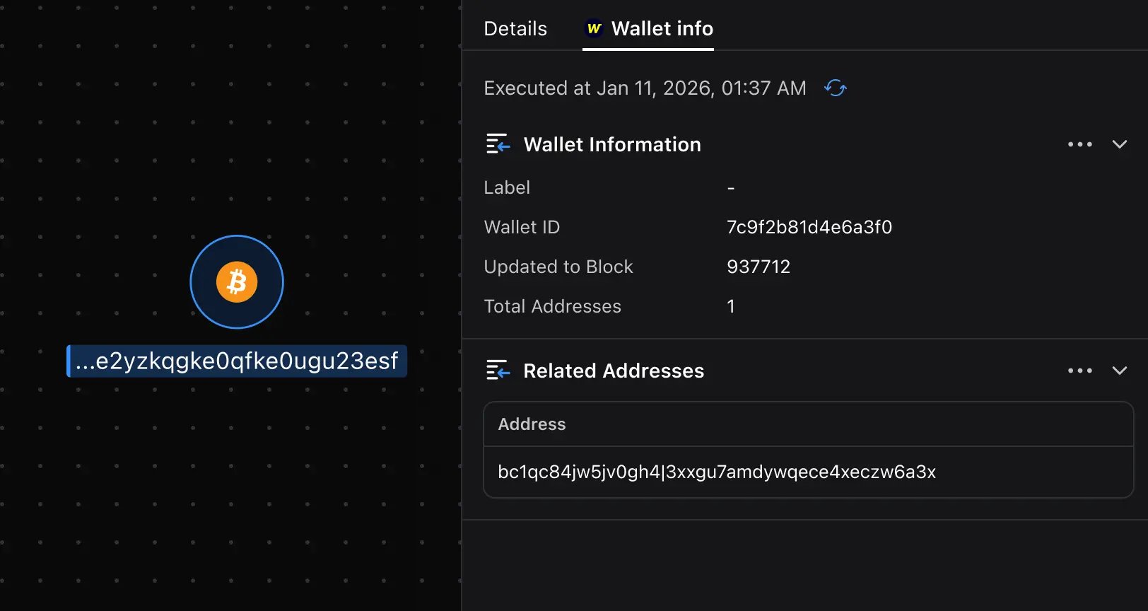 Malfors graph showing WalletExplorer wallet info with wallet metadata and related addresses